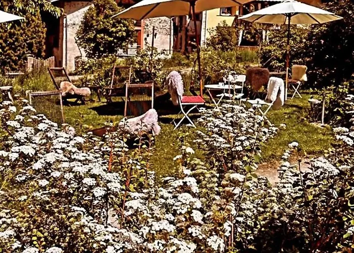 Bed & Breakfast Chasa Jaro *